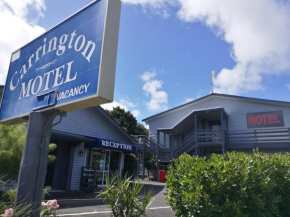 Гостиница Carrington Motel  Нью-Плимут